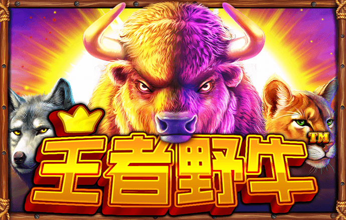 澳门六门彩网金牛版